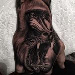 Black and grey baboon hand tattoo by Tye Harris. #realism #blackandgrey #handtattoo #baboon #TyeHarris