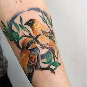 Bee Eater and Black Headed Weaver bird tattoo by Charlotte Ross. #realism #colorrealism #painterly #CharlotteRoss #bird #beeeater #blackheadedweaver