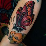 Awesome and vibrant butterfly tattoo done by Kike Esteras. #KikeEsteras #butterfly #neotraditional #coloredtattoo