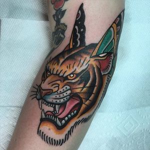 One of Mike Suarez's unusual tiger heads (IG— suarezism). #butterflywings #MikeSuarez #tiger #traditional