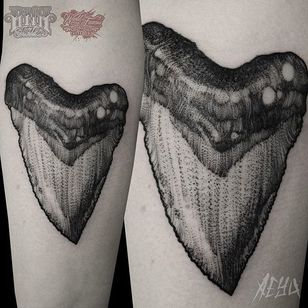 Tatuaje de un diente de megalodón por Alex Underwood