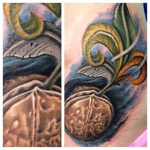 Sprouting Walnut Tattoo by Bob Bitner #NationalWalnutDay #walnut #color #colorrealism #realism #BobBitner