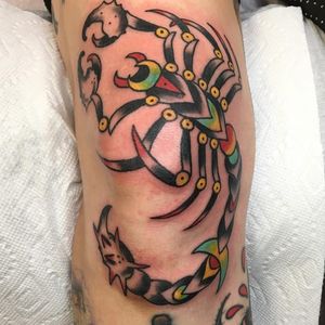 A scorpion with gnarly pincers and a wicked looking tail. Scorpion tattoo by Andy Hefner #AndyHefner #scorpion #traditional