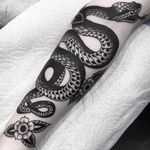 Snake in the grass by Griffen Gurzi #griffengurzi #blackandgrey #traditional #snake #scales #reptile #animal #nature #flower #leaves #floral #tattoooftheday