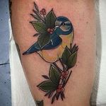 Neo traditional blue tit bird tattoo by Lydia Hazelton. #neotraditional #bird #bluetit #bluetitbird #LydiaHazelton