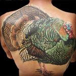 Huge turkey back piece by Freddy Payne. #realism #colorrealism #turkey #FreddyPayne