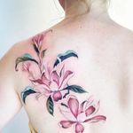 Magnolia by Amanda Wachob (via IG-amandawachob) #magnolia #flowers #floral #watercolor #color #illustrative #AmandaWachob