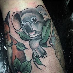 Bold styled realism koala tattoo by Joel P Blake #koala #animal #marsupial #realism #styledrealism #JoelPBlake