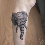 Elephant by Sven Rayen (via IG-svenrayen) #geometric #blackandgrey #animal #elephant #illustrative #svenrayen