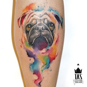 Tatuaje Pug por Rodrigo Tas #WatercolorTattoo #WatercolorTattoo #WatercolorArtists #Watercolor #Brazil #BrazilianTattooArtists #RodrigoTas #mops #dog #animals #watercolorpug