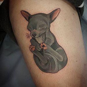 Chihuahua pup tattoo by Aimee Bray. #dog #puppy #chihuahua #neotraditional #AimeeBray