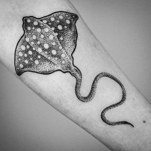 Stingray Tattoo by Deryn Twelve #Stingray #MantaRay RayTattoos #StingrayTattoo #MantaRayTattoo #SeacreatureTattoos #OceanTattoos #DerynTwelve