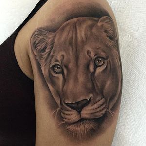 Beautiful black and grey lioness tattoo by Jamie Mahood. #blackandgrey #realism #JamieMahood #lion #lioness #bigcat #feline