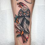 Classic looking eagle tattoo on the forearm. Tattoo by Jason Ochoa. #JasonOchoa #GreenPointTattooCo #traditionaltattoo #boldtattoos #eagle #baldeagle