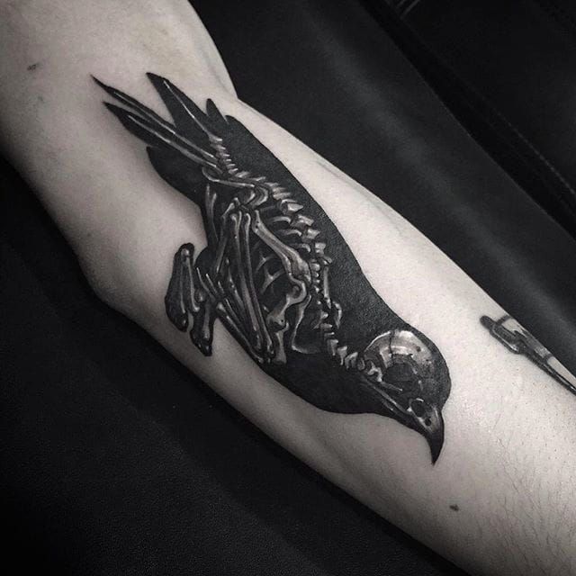 Bird skeleton tattoo by Roy Tsour  Post 30600
