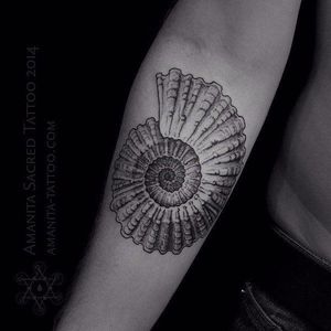 Great tattoo by Mike Amanita #ammonite #MikeAmanita #ammonitetattoo #blackwork