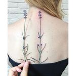 Garden-inspired tattoo by Rit Kit. #RitKit #flower #garden #plant #realistic #hyperrealism #lavender