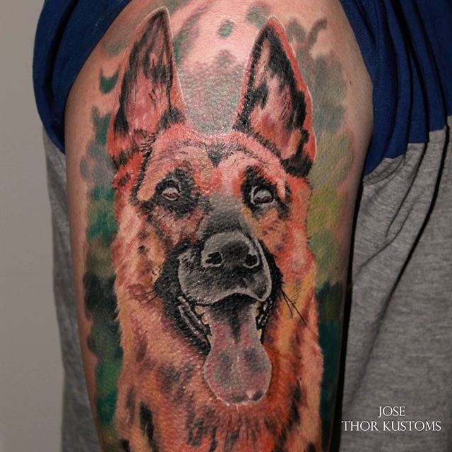 german shepherd tattoo outlineTikTok Search
