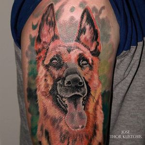 Color realism German Shepherd tattoo by Jose Thor. #dog #germanshepherd #realism #colorrealism #JoseThor