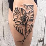 Poppy tattoo by Kevin Plane #KevinPlane #sketchstyle #sketch #blackwork #poppy #flower