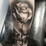 Rose tattoo by Luke Sayer #LukeSayer #blackandgrey #realistic #rose