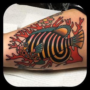 Parrot Fish by Leonie New (via IG-leonienewtattoos) #traditional #color #LeonieNew #ChapelTattoo