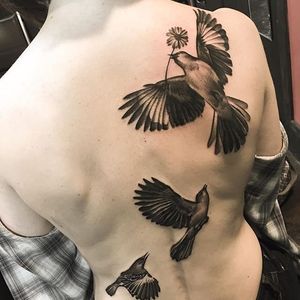 Trio of mockingbirds by Jay Quarles. #blackandgrey #realism #bird #mockingbird #flower #JayQuarles