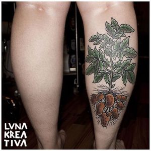 Traditional style potato plant tattoo by Luna Kreativa. #traditional #plant #botanical #potato #starch #vegetable #LunaKreativa