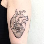 Really cool heart tattoo by Anna Neudecker. Check out the details on this tattoo! #AnnaNeudecker #Heart #tree #fineline #blackwork