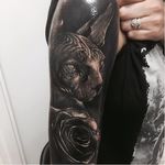Sphinx cat tattoo #SandryRiffard #blackandgrey #realism #realistic #sphinxcat #cat