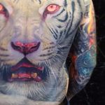 Amazing tiger backpiece via @jamestattooart #realism #portrait #backpiece #tiger