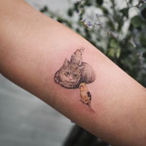 Sweet kitty and friends by Sol Tattoo #Sol #soltattoo #color #realism #realistic #illustrative #birds #cat #cockatoo #feathers #watercolor #small #petportrait #cute #tattoooftheday