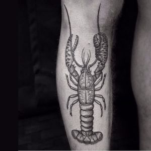 Lobster tattoo by LuCi #LuCi #engraving #blackwork #monochrome #monochromatic #lobster