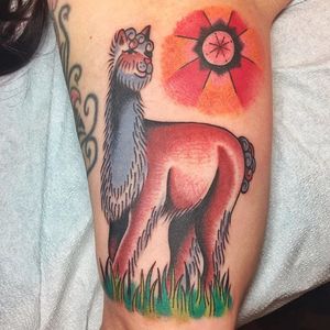 Alpaca tattoo by Cori James. #traditional #alpaca