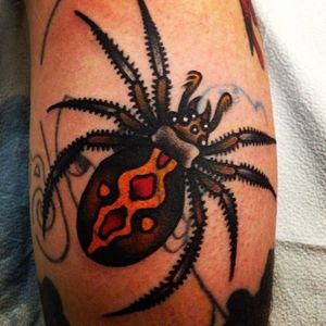 #steveboltz #traditional #spider #insect