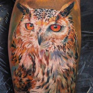 #dimitriysamohin #owl #bird #animal #realistic