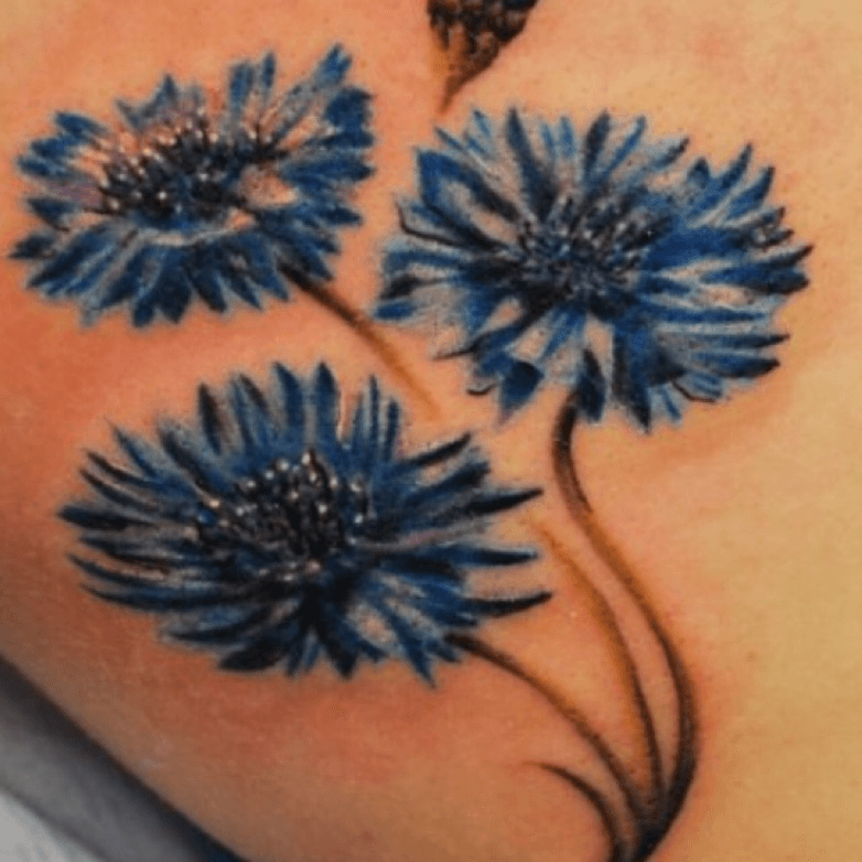 Cornflower by vanetattoo  Tattoogridnet