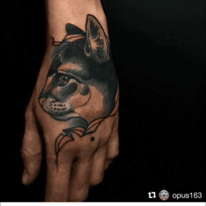 My dear cat, Juanito! Made by @opus163 from Rj, made in #expotattoofloripa2016 