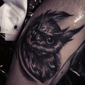 #blackandgrey #owl #realism