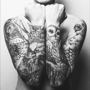 #arms #veksvanhilik #tattoo #tattoos #birds #bird #owl #crow #toulouse #inkaddict #inked #inkedboy 