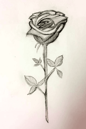 This is a rose I have drawn , would be a good tattoo with a bit of work i think 