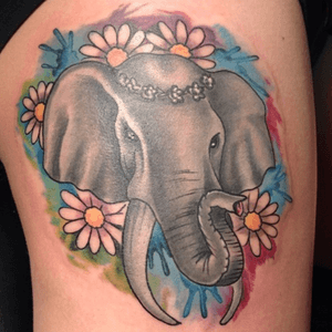 #elephant #tattoo #watercolor #watercolortattoo #newschool 