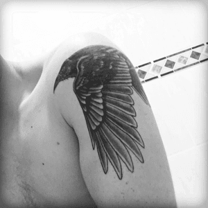 Raven - will be the start of my sleeve #raven 
