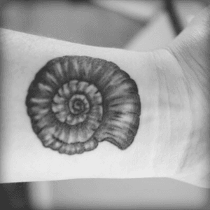 A nautilus from "The Story of B" #booknerd 