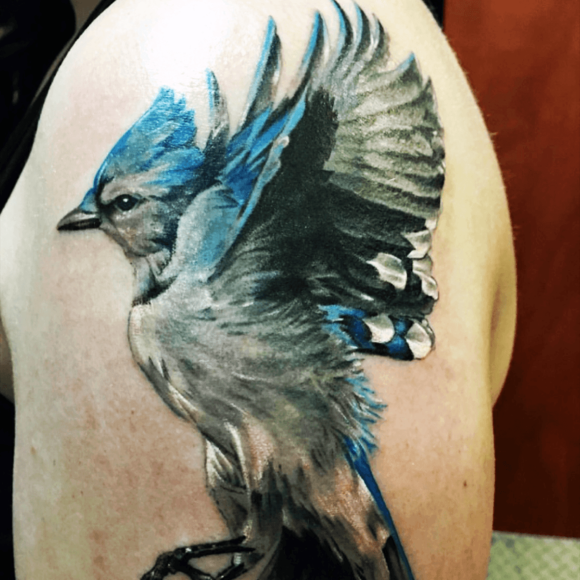Blue Jay and Canadian themed half sleeve done by Janice sosoink at  Chronic Ink Tattoo  Toronto Canada  Blue jay tattoo Tattoo toronto Ink  tattoo