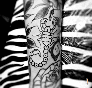 Nº587 #tattoo #tattooed #ink #inked #girlswithtattoos #scorpion #scorpiontattoo #oldschool #oldschooltattoo #tattoosleeve #bylazlodasilva