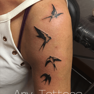 Tattoo de golondrinas 🕊 Ary Tattoos