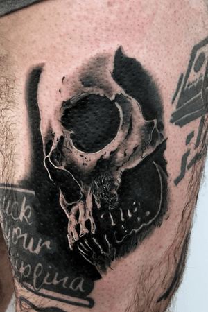 #tattoo #tattoos #tattoo2me #tattooart #tattoodo #tattooer #tattooed #tattooist #tattooshop #ink #inked #inkedup #inkedmag #skinart_mag #tatuatoriitaliani #skulltattoo #skull #bestitaliantattooartist #blackandwhite #tatuaggiorealistico #realistic #realistictattoo #roma #eternalcitytattoo #worldfamousink #art #artist #equalizerproton #bestoftheday #tattooartist
