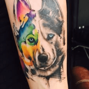 #dreamtattoo Love to see Ami's style of my husky #amijamesdreamtattoo