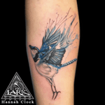 Tattoo by Lark Tattoo artist Hannah Clock. See more of Hannah's work: http://www.larktattoo.com/long-island-team-homepage/hannah-clock/ #watercolor #watercolortattoo #watercolor #birdtattoo #bluejay #bluejaytattoo #tattoo #tattoos #tat #tats #tatts #tatted #tattedup #tattoist #tattooed #tattoooftheday #inked #inkedup #ink #tattoooftheday #amazingink #bodyart #tattooig #tattoosofinstagram #instatats #larktattoo #larktattoos #larktattoowestbury #westbury #longisland #NY #NewYork #usa #art 
